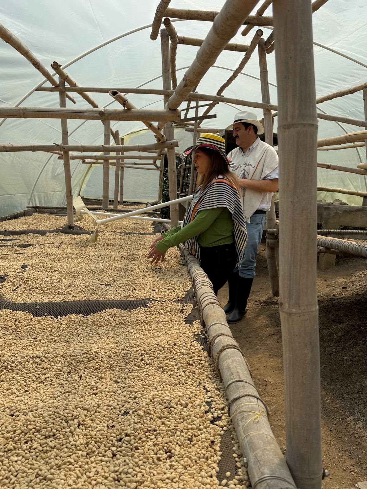 Coffee Tour 2