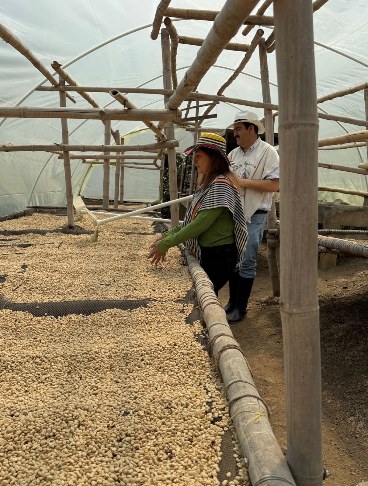 Coffee Tour 4