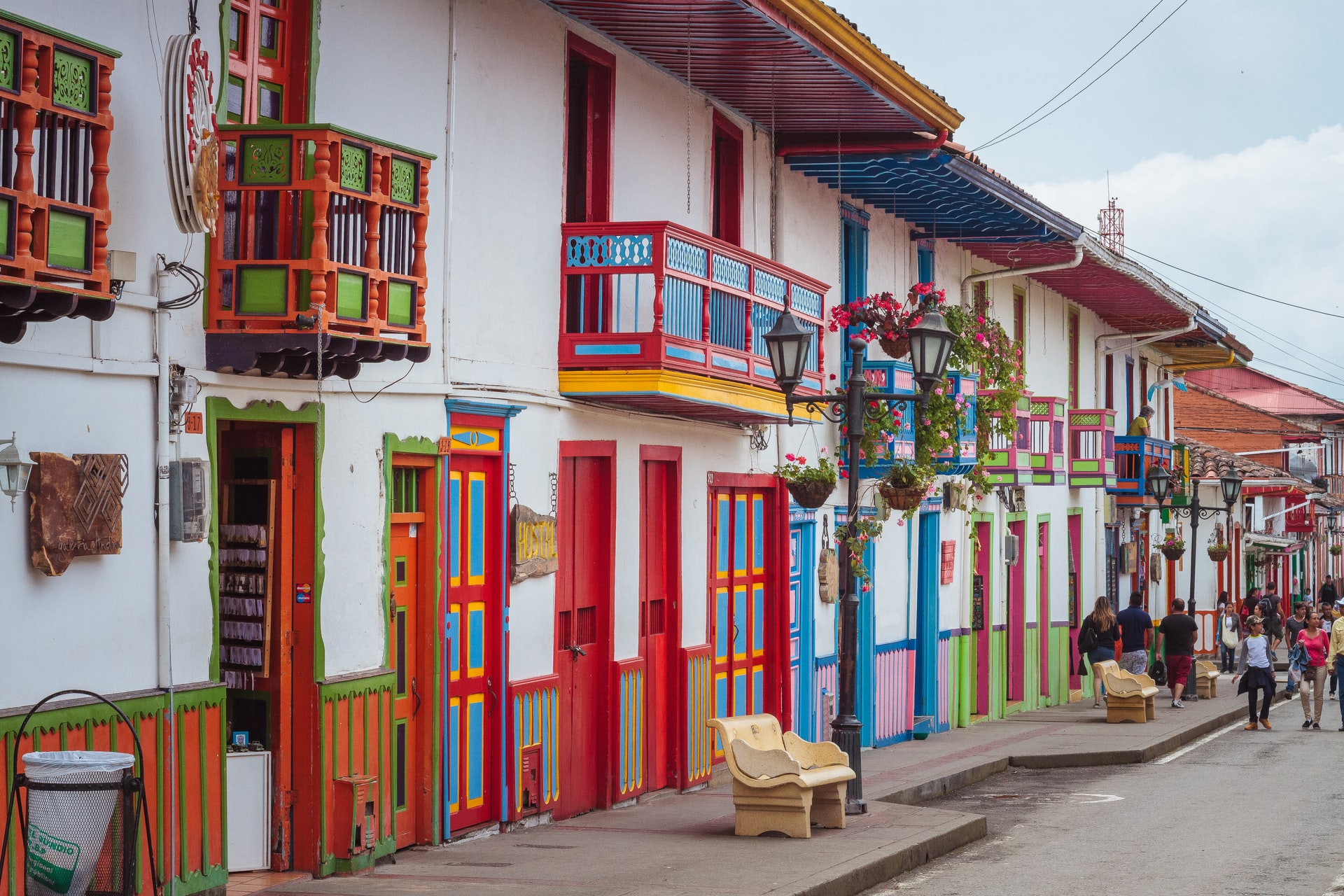 Tour Valle del Cocora, Salento y Filandia
